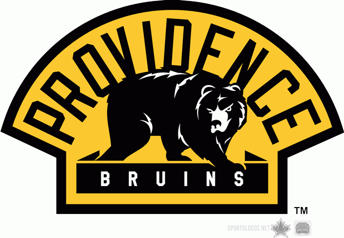Providence Bruins 2010 11-Pres Alternate Logo iron on heat transfer...